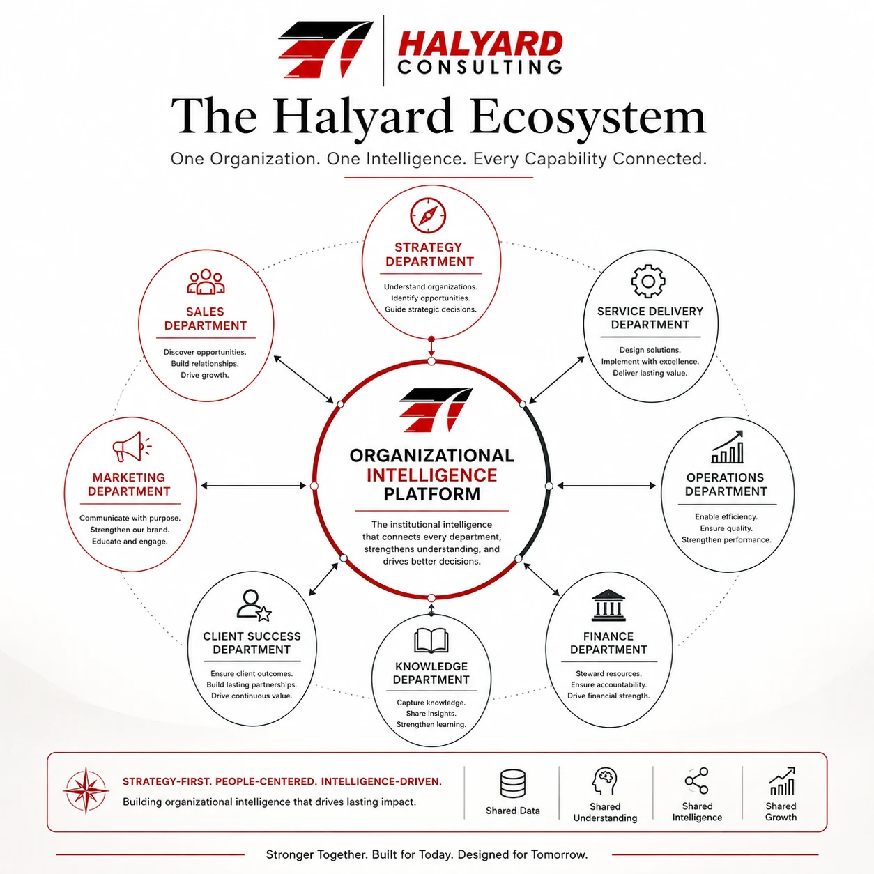 Halyard Consulting organizational ecosystem diagram showing an Organizational Intelligence Platform at the center of connected business departments.